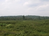 Oswegatchie Plain from High Rock